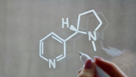 Hand drawing the chemical structure of nicotine on glass
