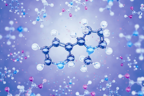 3D model of a nicotine molecule